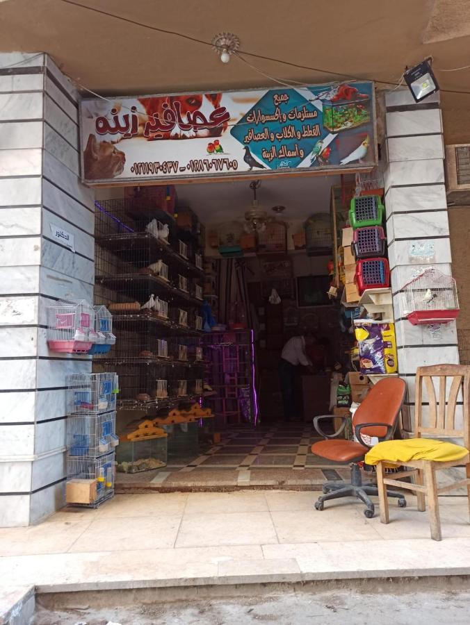 Sea View Free Wifi 3 Bedrooms 2 Toilets 5th Floor Bellevue Village Agami Available Year Days & 5 Heavy Blanket Available